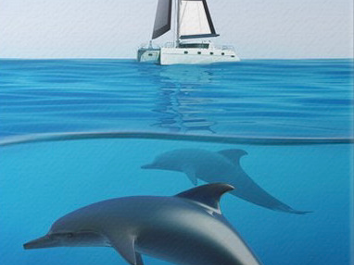 Alla scoperta dei delfini nello Ionio