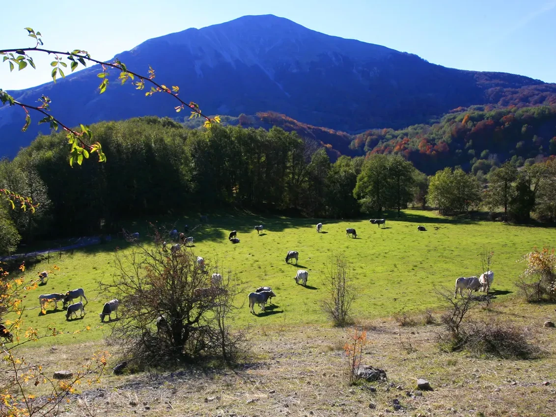 Parco Nazionale Appennino Val D'Agri Lagonegrese Monte Sirino