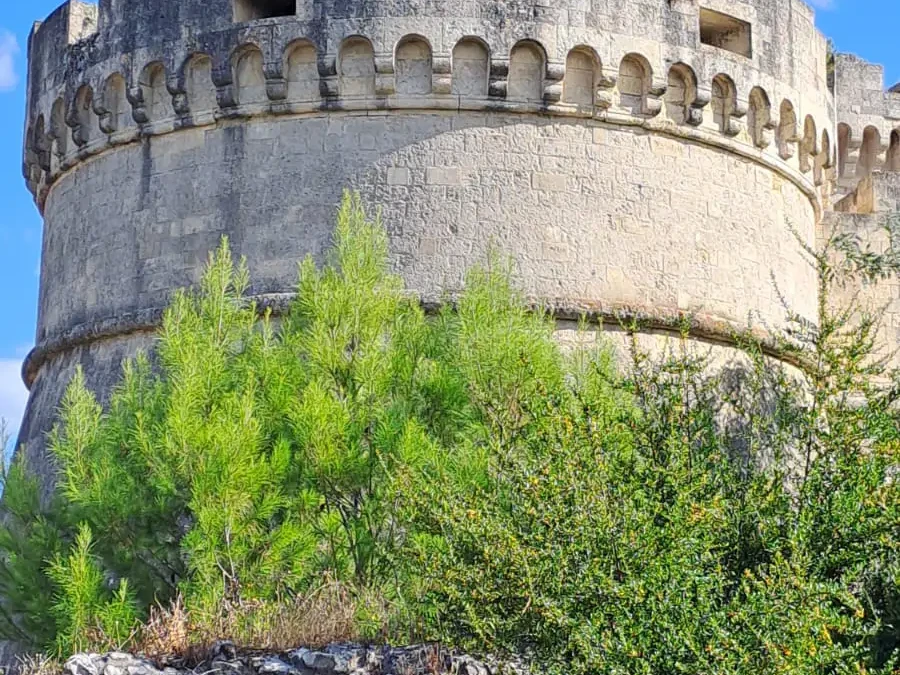 Il Carrubo - Castello di Matera