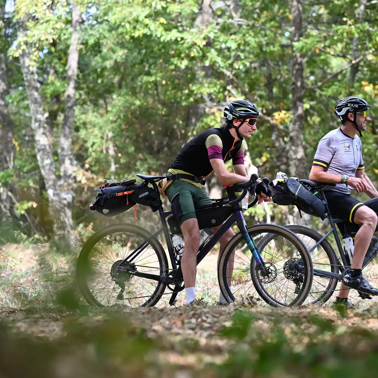 basilicata bike trail bikepackers (bosco di Albano di Lucania)