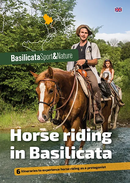 Horse Riding Guide