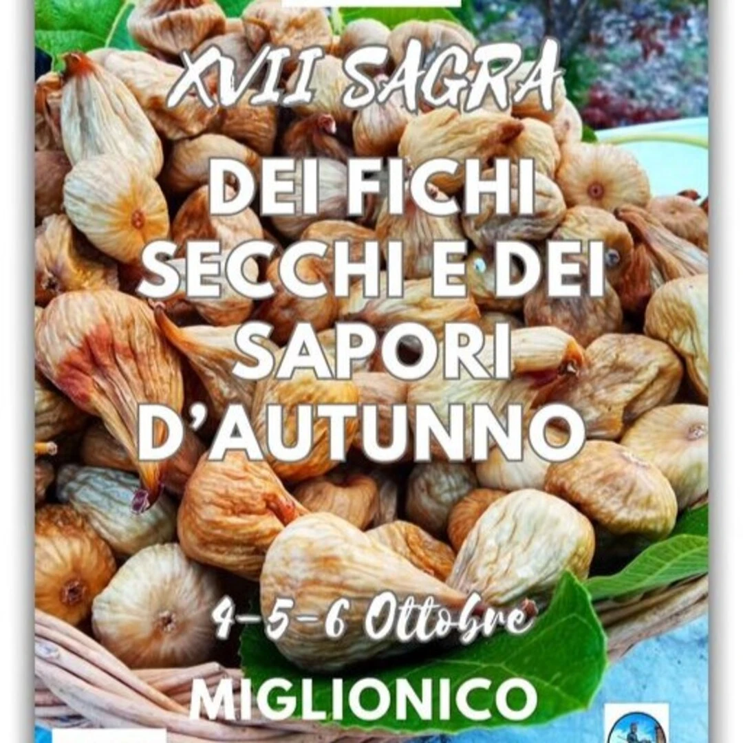 XVII sagra dei fichi secchi e  dei sapori d'autunno